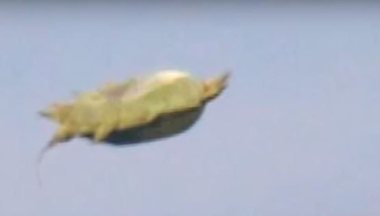 UFO308.JPG